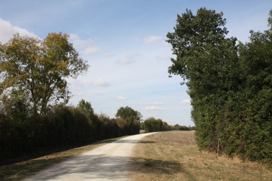 Large chemin d\'exploitation