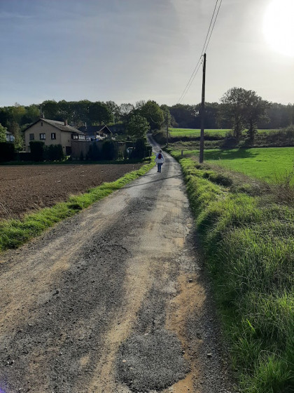 Large chemin vers le Bois de l\'Hestreu