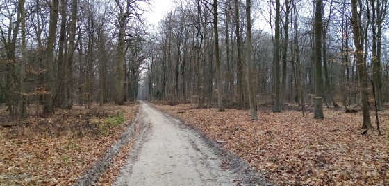 Large chemin
