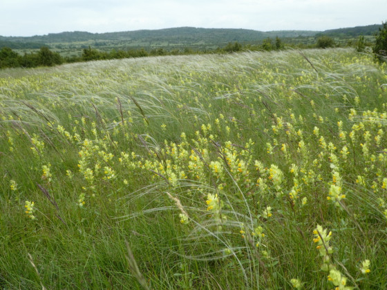 Larzac