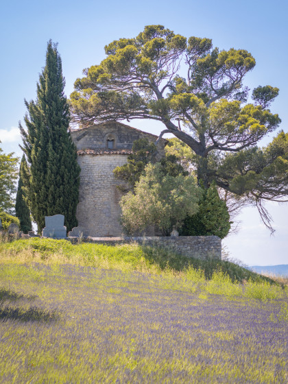 Lavande et Chapelle Saint-Bonnet
