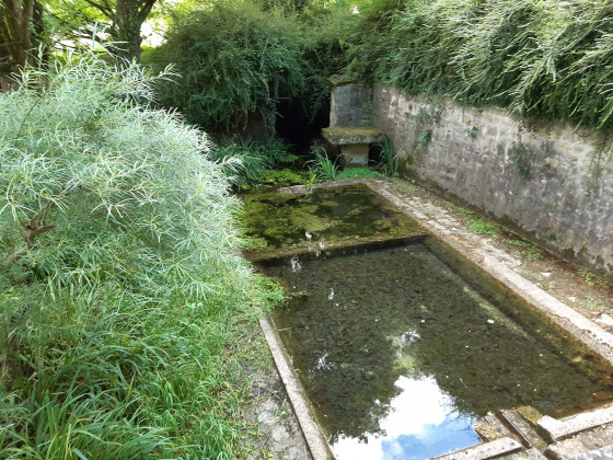 Lavoir des Rossignols