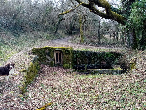 Lavoir