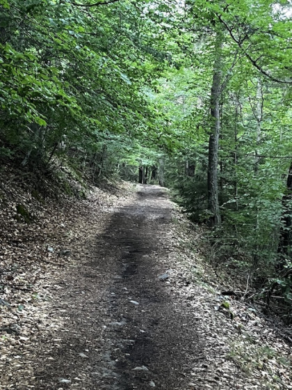 Le 2eme Chemin Vert