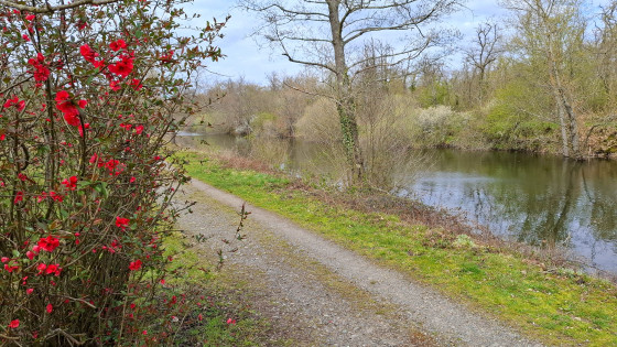 Le Baggerloch