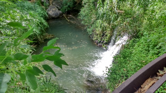 Le bassin
