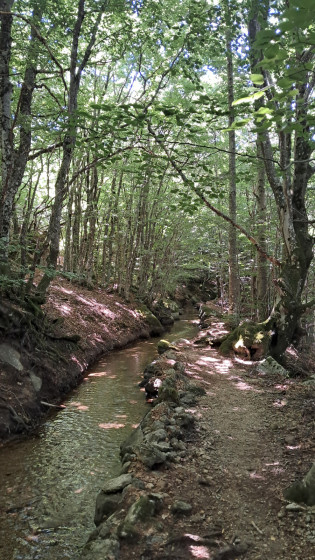 le B&eacute;al de Felgerolles