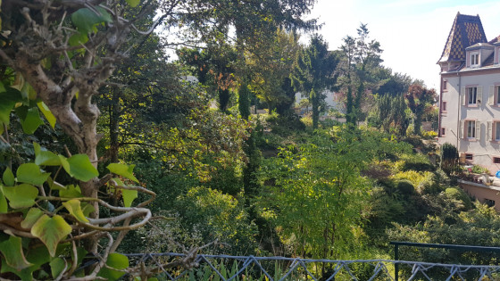 Magnifique jardin au Sentier au Bois
