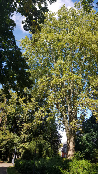 Le Parc Tivoli