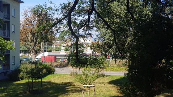 Bas du Sentier des Belles-feuilles