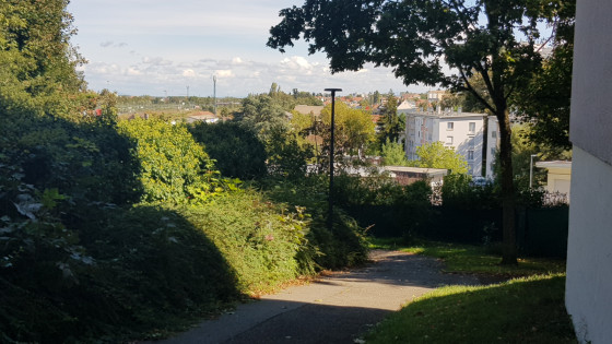 Vue depuis le sommet du Sentier des Belles-Feuilles
