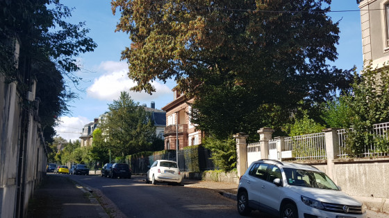 Belles maisons de la Rue Stoeber