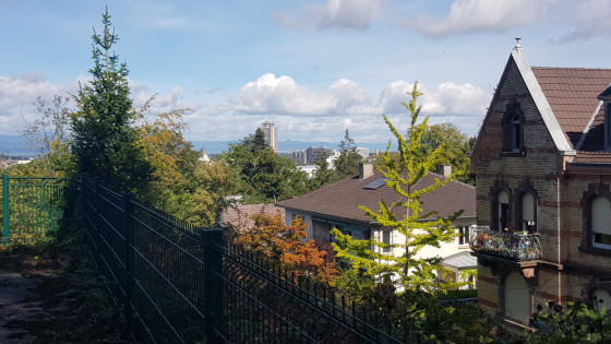 Vue depuis le Parc du Réservoir 1
