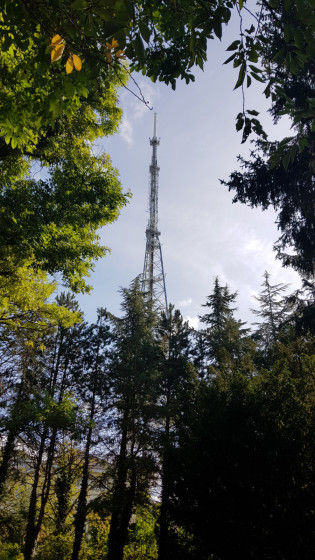 Vue sur la tour télévision depuis le parc du sommet