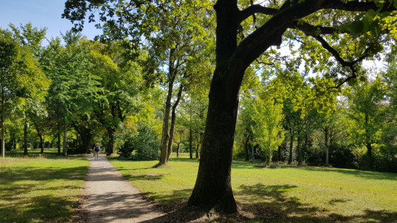 Sentier du sommet