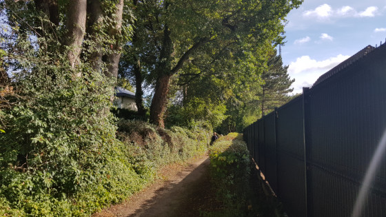 Sentier du sommet 2