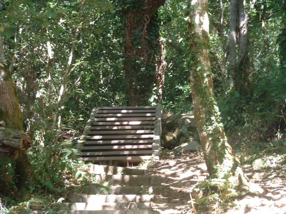 Le bel escalier