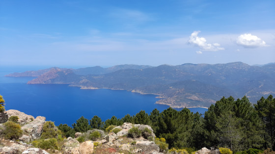 Le golfe de Porto vu du belvédère