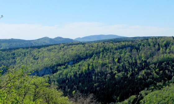 Le belvédère des Feuilles