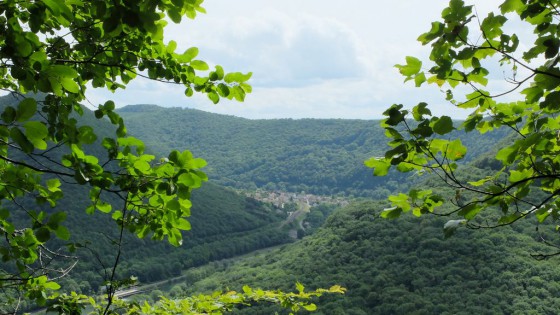 Le Belvédère des Rochers du Château Loriot