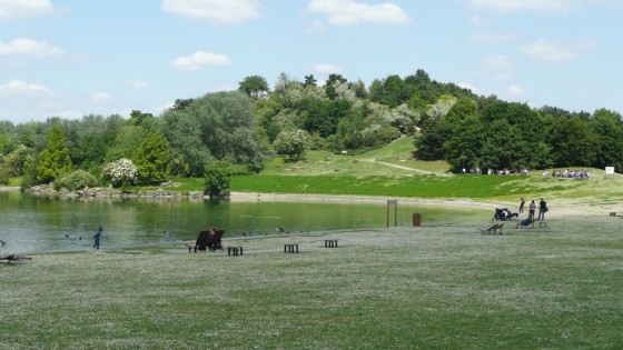 Le Belv&eacute;d&egrave;re