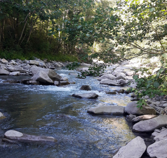 Le B&egrave;s