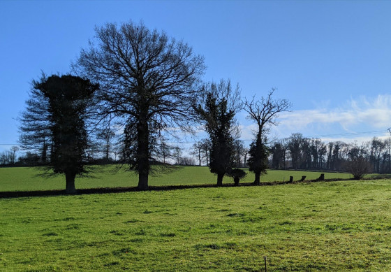 Le bocage de La Louvrais