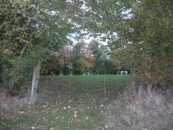 Le bocage thiérachien