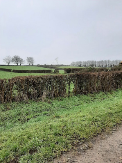 Le bocage