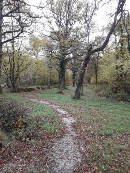 Le Bois de Bignon