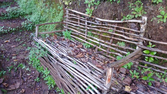 Le bois de goyavier