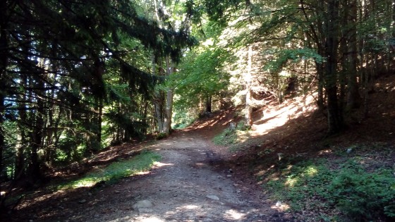 Le Bois de la Corne