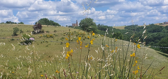 Le bois de Saint-Quintin par le GR36