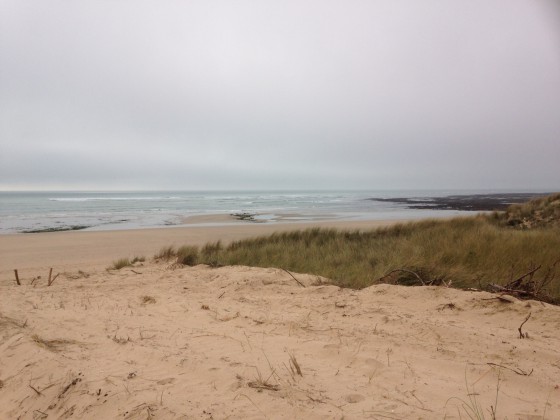 Le Bois Plage En Ré