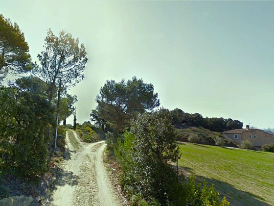 Le Bosquet