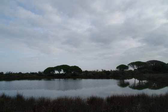 Le Boucanet