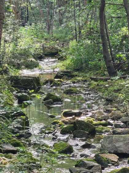 Rivière Bourdic