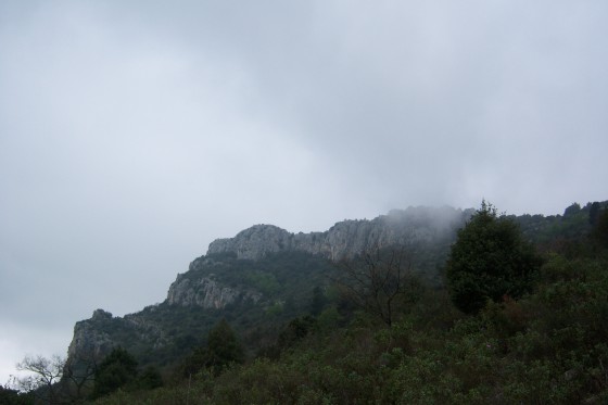 Le brouillard sans va....