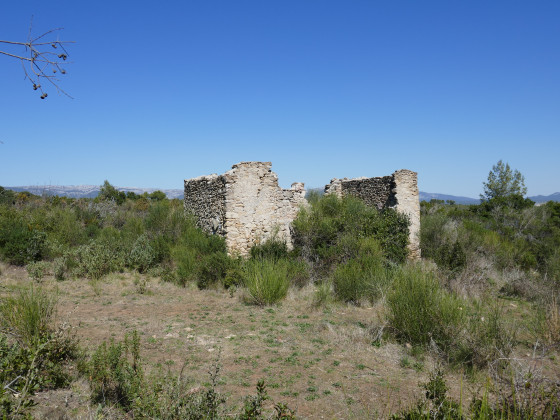 Le camp de Penon