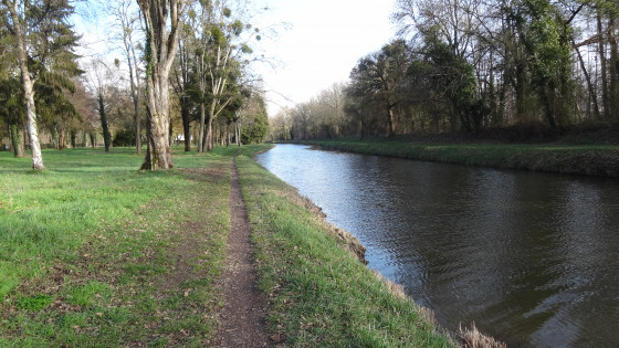 Le canal d\'Orléans