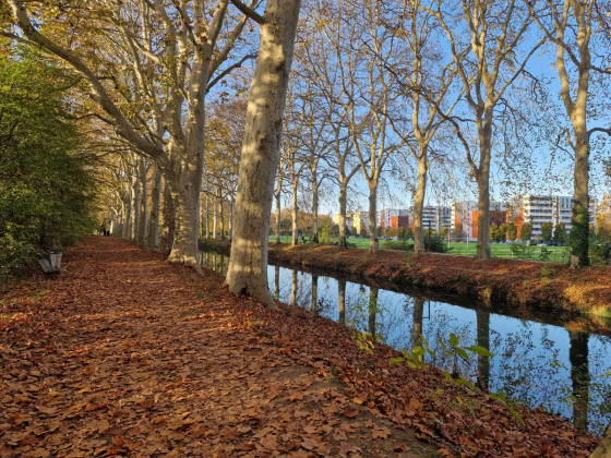 Le Canal du Midi sous les couleurs de l'automne