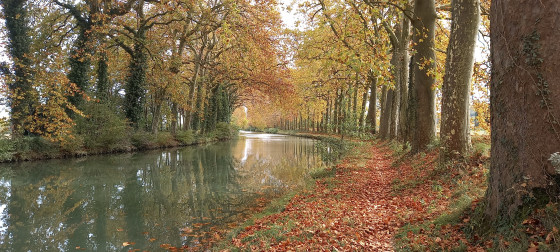 Le Canal du Midi