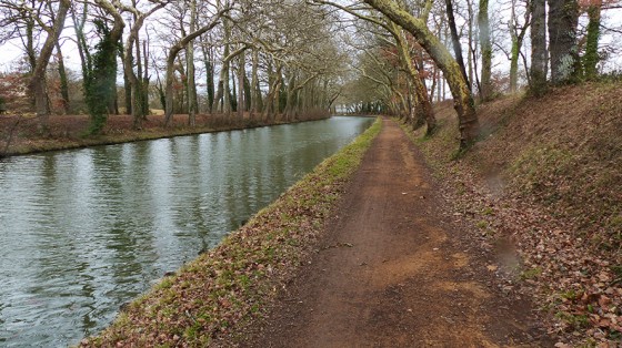 Le Canal du Midi