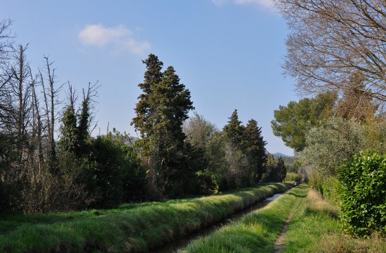 Le canal