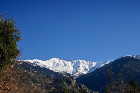 Le Canig&oacute;