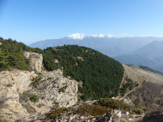 le Canigou enneigé