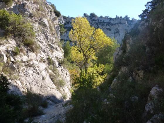 Le canyon du Rec