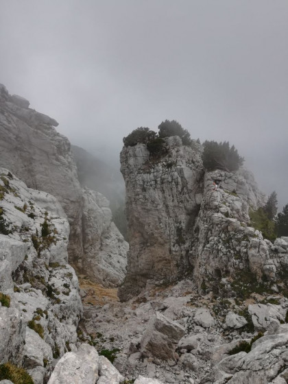 Le Canyon vu d'au dessus