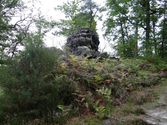 Le Carosse
