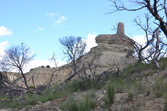 Le Castillo de Peñaflor